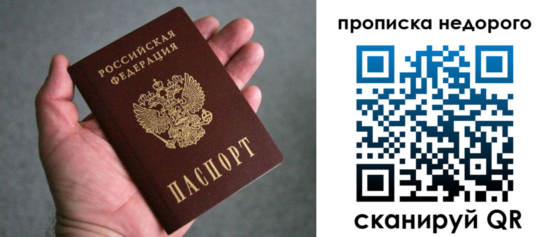 прописка поиск в Струнино
